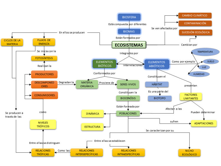 Mapa conceptual: estructura y dinámica de los ecosistemas